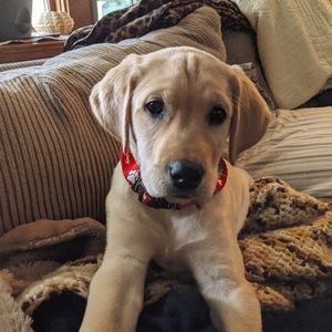 I don't know about selling YET!